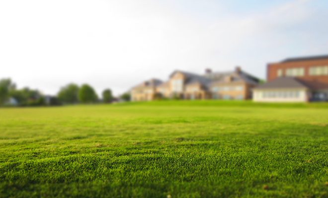 A blurry image of a large green field.