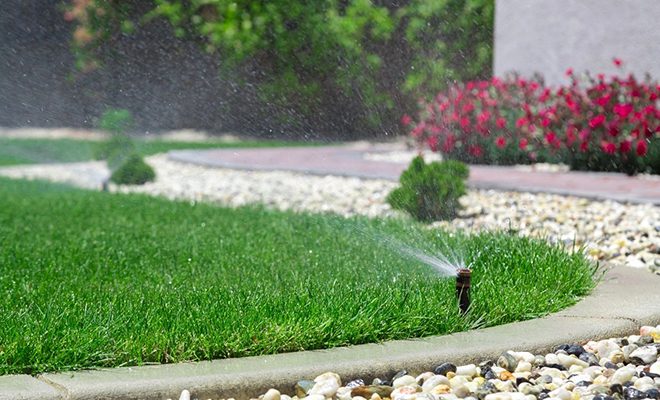 A lawn with grass and water spraying from it.