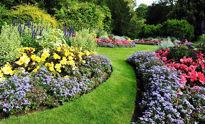 A garden with many different flowers and grass.