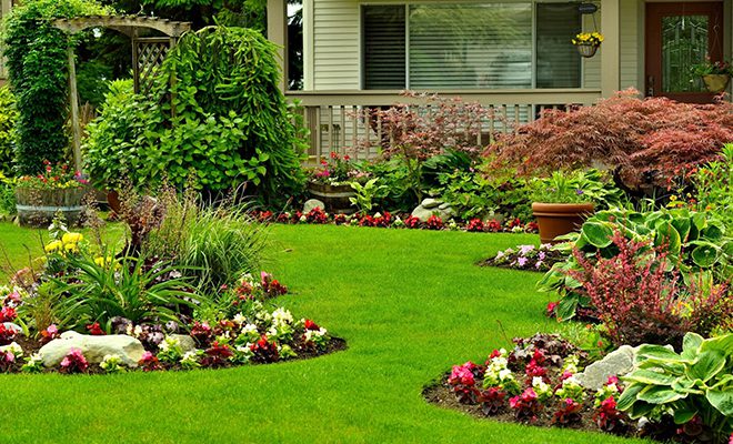 A garden with flowers and grass in the middle of it.