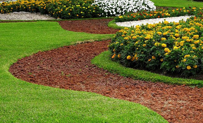 A garden path with grass and flowers in the background.