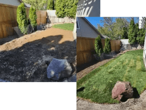 A collage of photos with grass and rocks