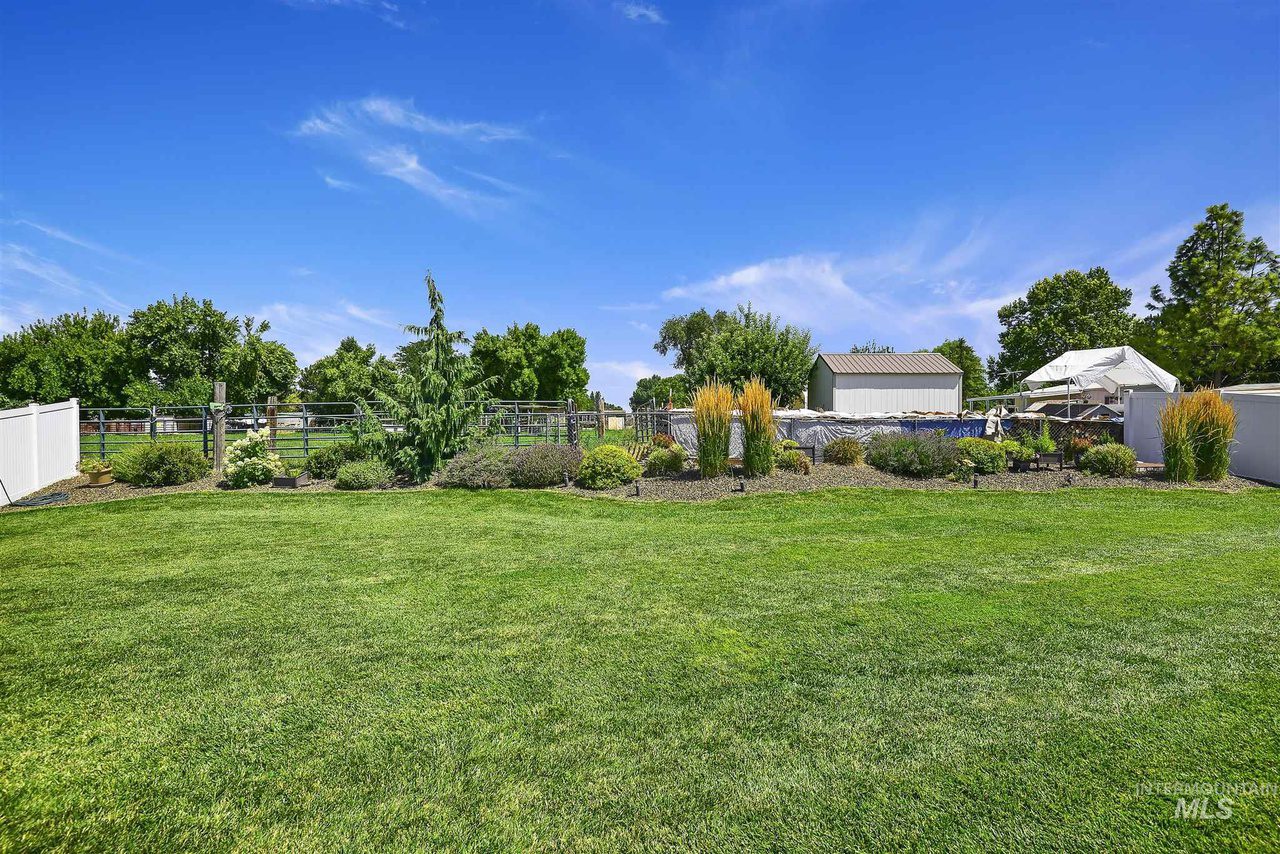 A large grassy area with trees and bushes.