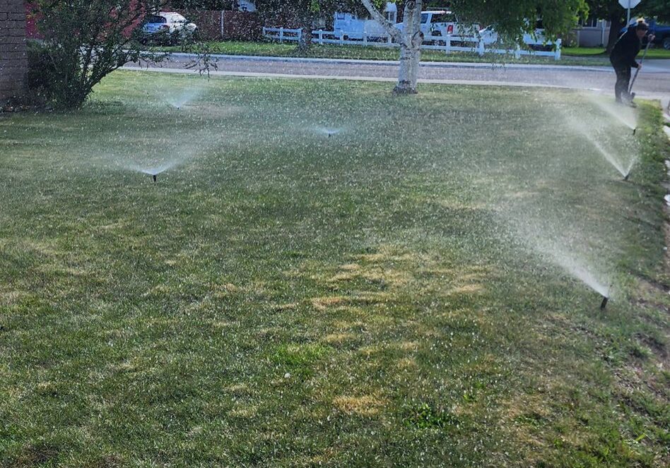 A person standing in the grass with sprinklers on.